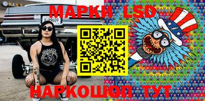 гашик Кандалакша